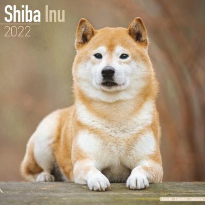 Calendrier Mural Shiba Inu 2026 - Format A3 (29.7x42 Cm) - 12 Photos Haute Qualité - Reliure Spirale - Idéal Décoration Bureau Ou Maison