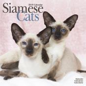 CALENDRIER 2019 - CHAT SIAMOIS