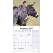 CALENDRIER 2027 - ANES