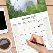 CALENDRIER 2027 - BICHON MALTAIS