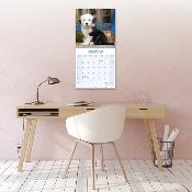 CALENDRIER 2026 - BOBTAIL