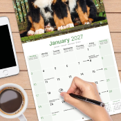 CALENDRIER 2027 - BOUVIER BERNOIS