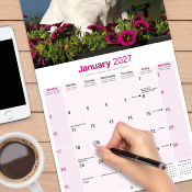 CALENDRIER 2027 - BULL TERRIER