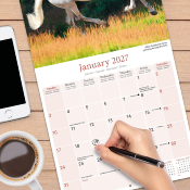 CALENDRIER 2027 - CHEVAUX