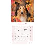 CALENDRIER 2026 - COLLEY