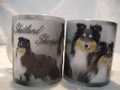 TASSE/MUG -  Chien SHETLAND