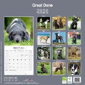 CALENDRIER 2026 - DOGUE ALLEMAND