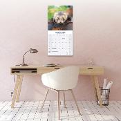 CALENDRIER 2026 - FURETS