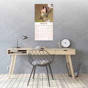 CALENDRIER 2027 - OISEAUX DU JARDIN