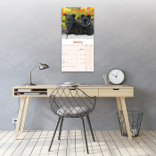 CALENDRIER 2027 - SCOTTISH TERRIER