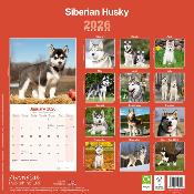 CALENDRIER 2026 - SIBERIAN HUSKY