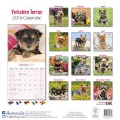 CALENDRIER 2019 - YORKSHIRE