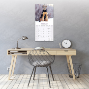 CALENDRIER 2027 - AIREDALE