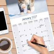 CALENDRIER 2027 - AKITA INU