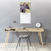CALENDRIER 2027 - ANES