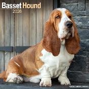CALENDRIER 2026 - BASSET HOUND
