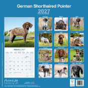 CALENDRIER 2027 - BRAQUE ALLEMAND