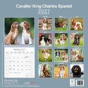 CALENDRIER 2027 - CAVALIER KING CHARLES