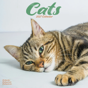 CALENDRIER 2027 - CHATS DIVERSES RACES