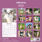 CALENDRIER 2026 - CHIHUAHUA