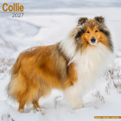 CALENDRIER 2027 - COLLEY