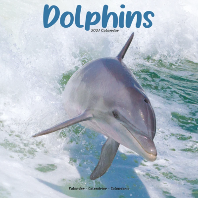 CALENDRIER 2027 - DAUPHINS