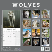CALENDRIER 2027 - LOUPS