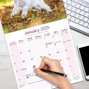 CALENDRIER 2026 - SETTER ANGLAIS