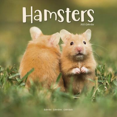 CALENDRIER 2022 - HAMSTERS