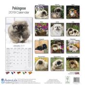 CALENDRIER 2019 - PEKINOIS