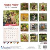 CALENDRIER 2019 - PINSCHER