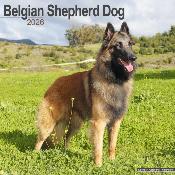 CALENDRIER 2026 - BERGERS BELGES