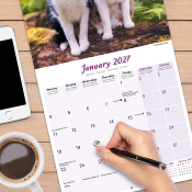 CALENDRIER 2027 - CHATS DIVERSES RACES