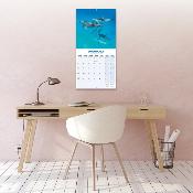 CALENDRIER 2026 - DAUPHINS
