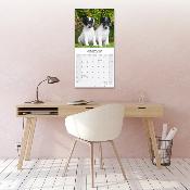 CALENDRIER 2026 - FOX TERRIER