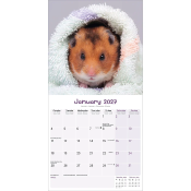CALENDRIER 2027 - HAMSTERS