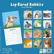 CALENDRIER 2026 - LAPINS BELIERS