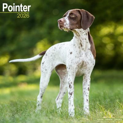 CALENDRIER 2026 - POINTER