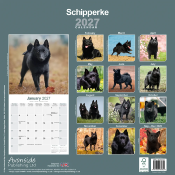 CALENDRIER 2027 - SCHIPPERKE