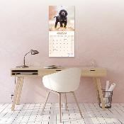 CALENDRIER 2026 - SETTER GORDON