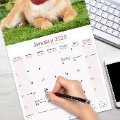 CALENDRIER 2026 - SHIBA INU