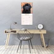 CALENDRIER 2027 - TERRE NEUVE