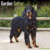 CALENDRIER 2019 - SETTER GORDON