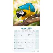 CALENDRIER 2026 - ARAS