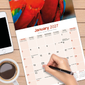 CALENDRIER 2027 - PERROQUET ARAS