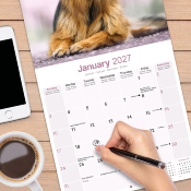 CALENDRIER 2027 - BERGER ALLEMAND