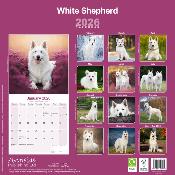 CALENDRIER 2026 - BERGER BLANC SUISSE