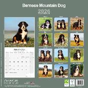 CALENDRIER 2026 - BOUVIER BERNOIS