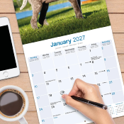 CALENDRIER 2027 - BRAQUE ALLEMAND