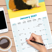 CALENDRIER 2027 - COBAYES - COCHON D'INDE